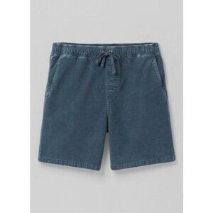 PrAna Bottoms Mens XL Grey Blue Canyon Camp Chino Shorts NWT